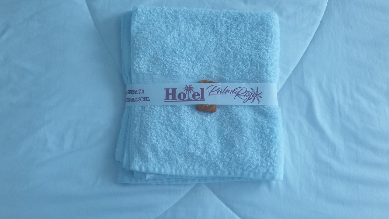 גרנדה Hotel Palma Roja מראה חיצוני תמונה